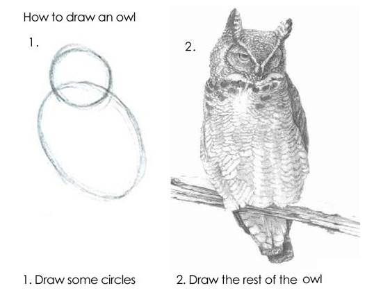 A two step guide to drawing an owl. The first step is drawing circles for the head and body, the second is just "draw the rest of the owl"